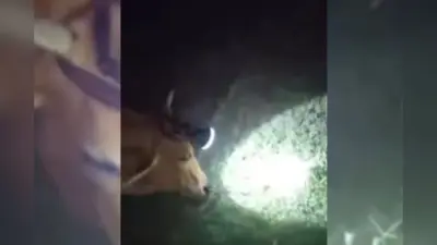 Viral Video: पत्नी संग टहल रहा था पति, स्कूटी से आ गई ‘पापा की परी’, टक्कर देख उड़ जाएंगे होश, वीडियो वायरल
