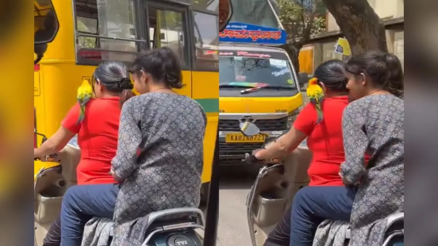 VIRAL: तोता लेकर स्कूटी चलाती महिला का वीडियो वायरल, बिना हेलमेट के दिखीं बेंगलुरु की सड़कों पर
