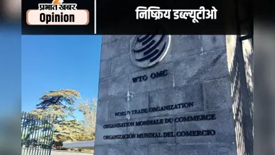 निष्क्रिय डब्ल्यूटीओ से भारत को क्षति