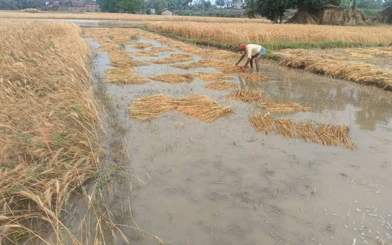 बिहार में बारिश का कहर, वज्रपात से 24 लोगों की दर्दनाक मौत, इन जिलों में आंधी-तूफान ने मचायी तबाही