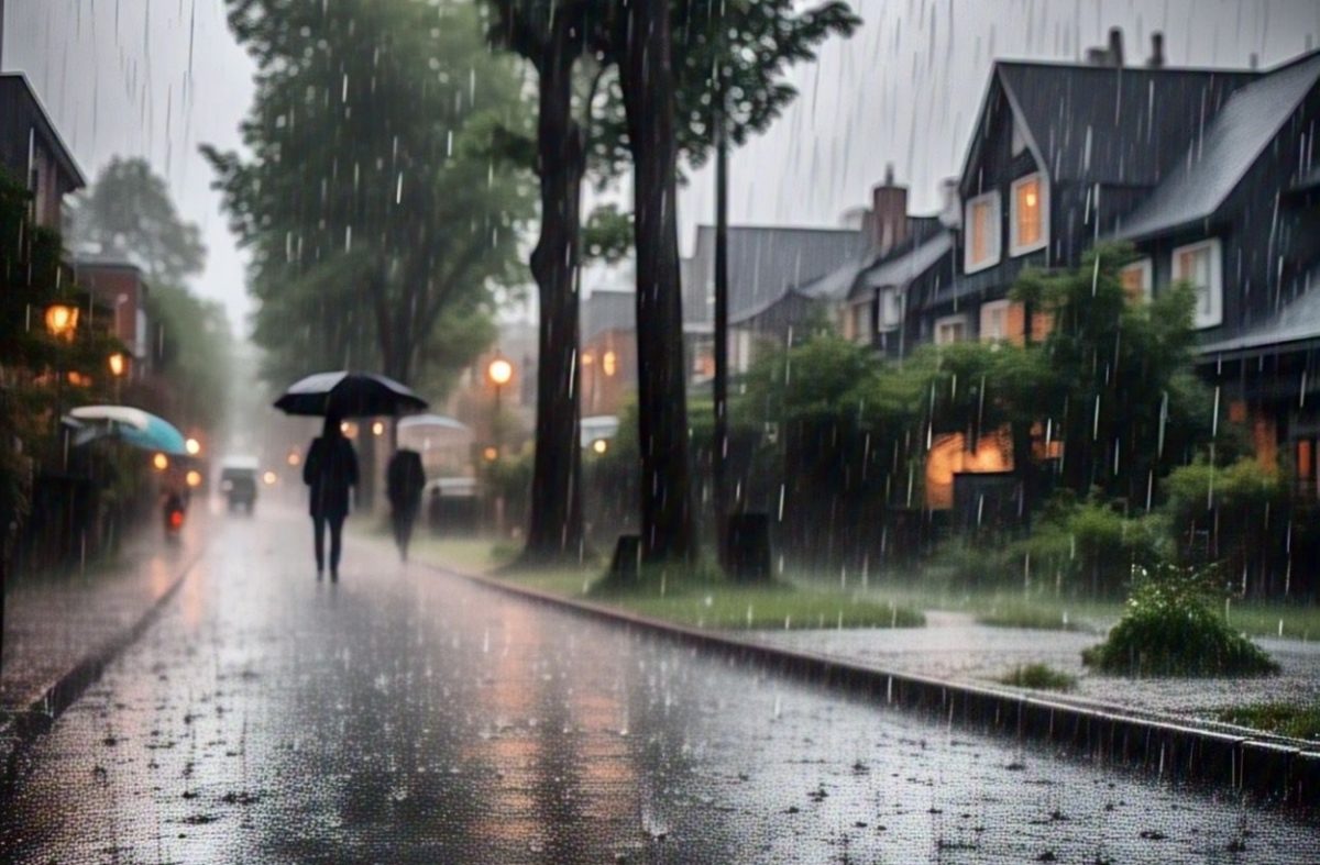 Heavy Rain Alert