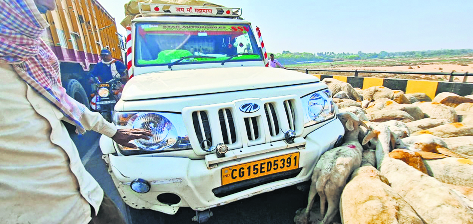 Jehanabad : पिकअप वैन ने 40 भेड़ों को कुचला, 20 की गयी जान