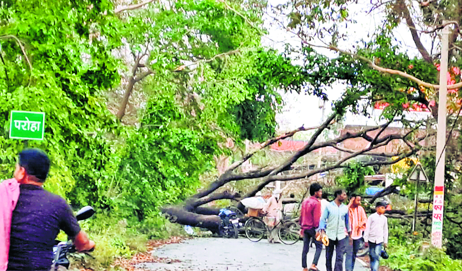Gopalganj News : हथुआ अनुमंडल में आंधी-तूफान और ओलावृष्टि से हुई तबाही, फसलों को पहुंचा नुकसान
