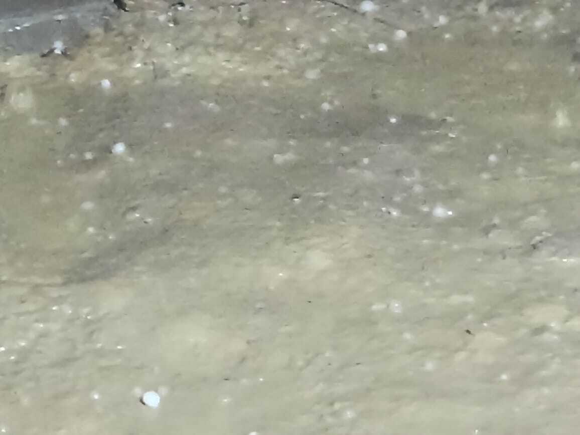 Darbhanga News: तेज आंधी-पानी के साथ ओलावृष्टि, फसलों को व्यापक क्षति