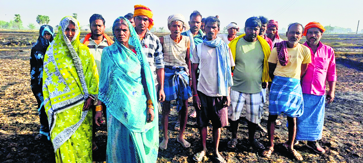 कांट पंचायत में लगी अगलगी से गेहूं की फसल जलकर हुआ राख