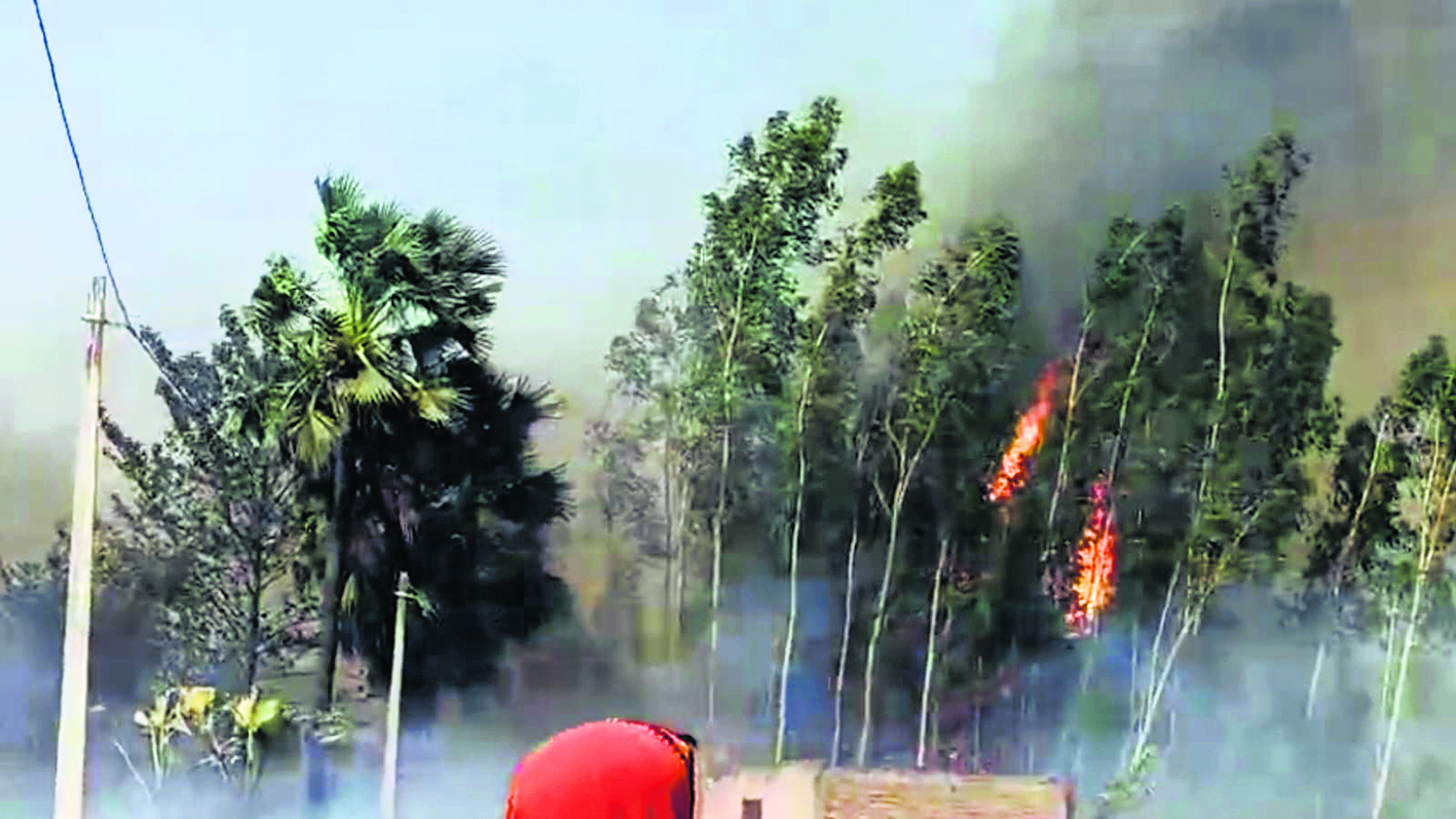 Saran News : आरा मिल में लगी भीषण आग, लाखों की लकड़ी जलकर राख
