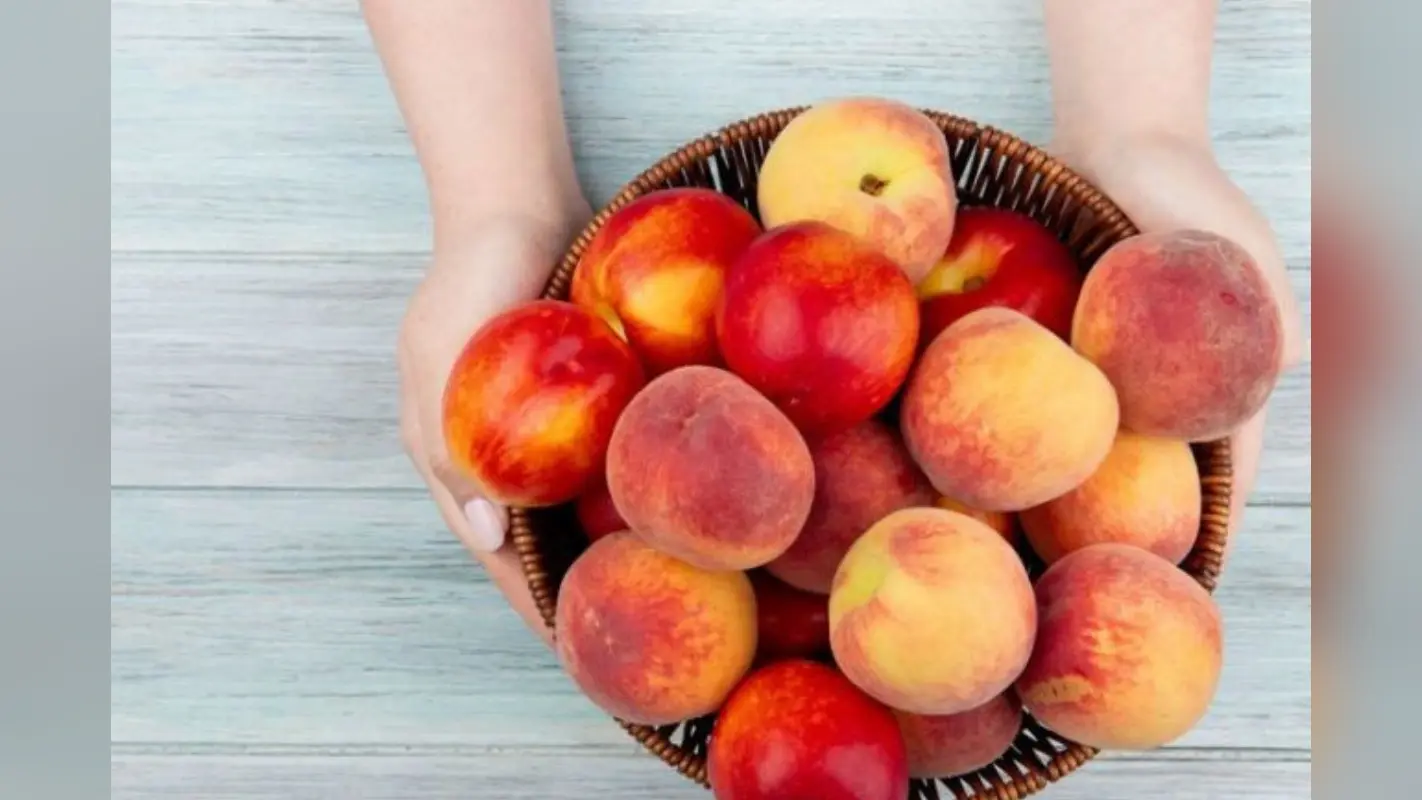 Benefits Of Peaches In Summer: गर्मी के दिनों में आड़ू का करें सेवन, जानिए इसके 5 अद्भुत फायदे जो आपको कर देंगे हैरान