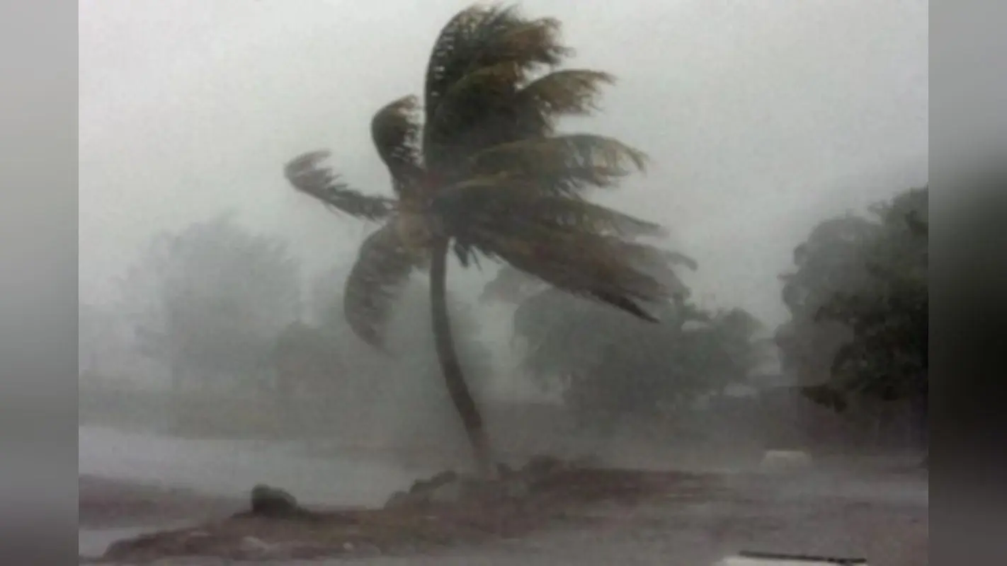 Nowcast Bihar: बिहार के 47 ब्लॉक में अगले 3 घंटे तेज हवा चलने के साथ होगी बारिश, IMD ने जारी किया अलर्ट