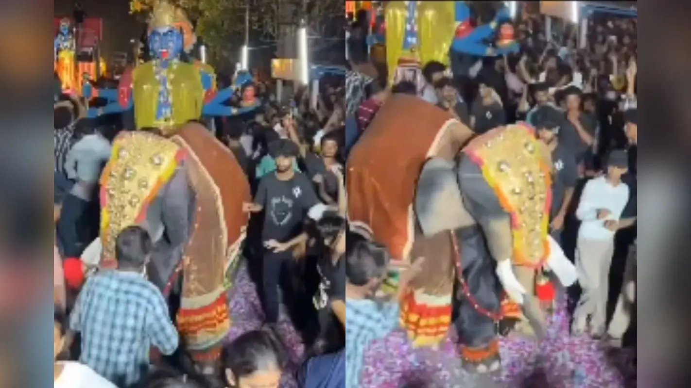 Viral Video: डांसरों का बाप निकला हाथी, लगाए ऐसे ठुमके कि उड़ गए लोगों के होश