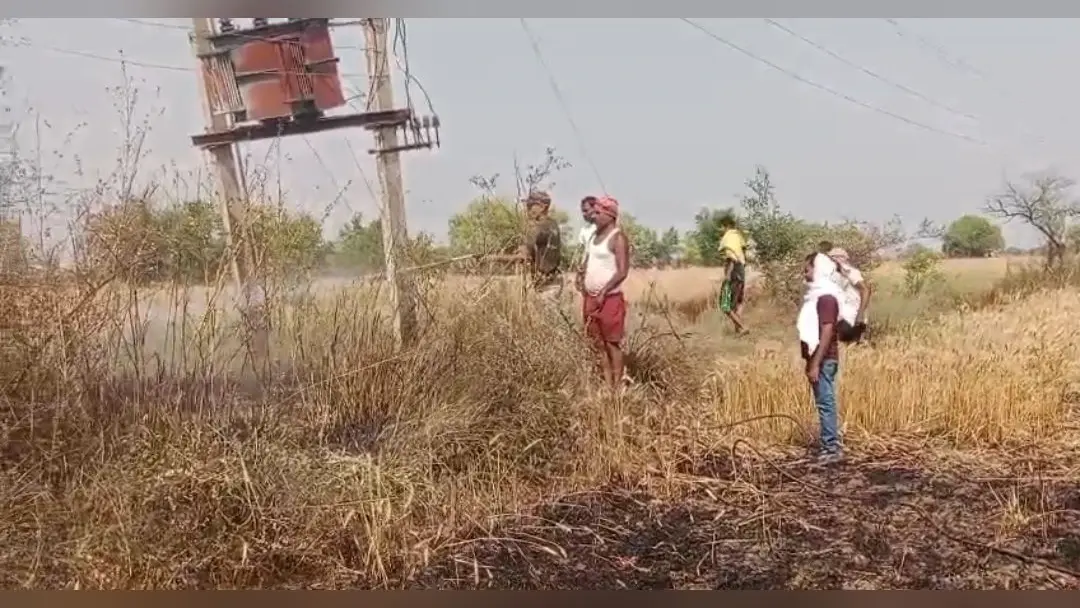 आठ एकड़ गेंहू की फसल जलकर राख