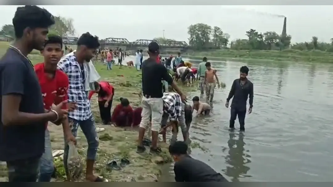 मीरगंज पुल के पास अचेतावस्स्था में मिलीं सैंकड़ों मछलियां
