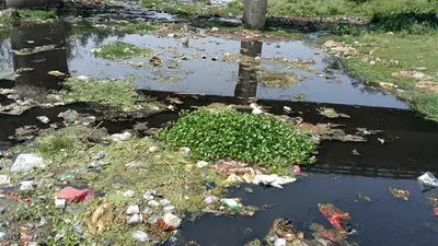 Chaibasa News : कचरा डंप होने से रोरो नदी का अस्तित्व खतरे में