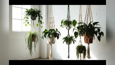 Home Decor Hanging Plants : यहां से चुनिए हैंगिंग प्लांट और कीजिए अपने घर को नए अंदाज में डेकोर