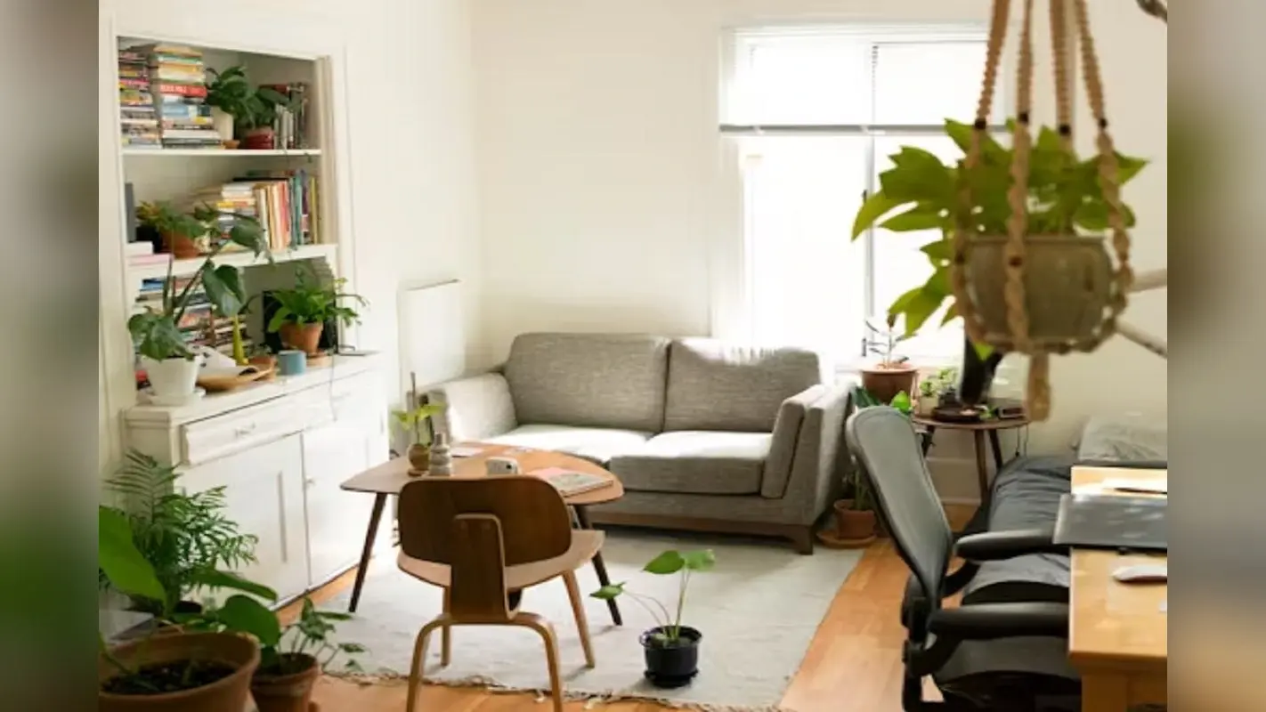 Feng Shui Tips: थोड़े बदलाव से बदल सकती है किस्मत, जानें फेंगशुई के कारगर टिप्स