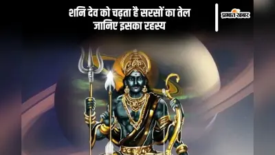 Shani Dev को क्यों अर्पित करते हैं सरसों का तेल, जानिए धार्मिक कारण