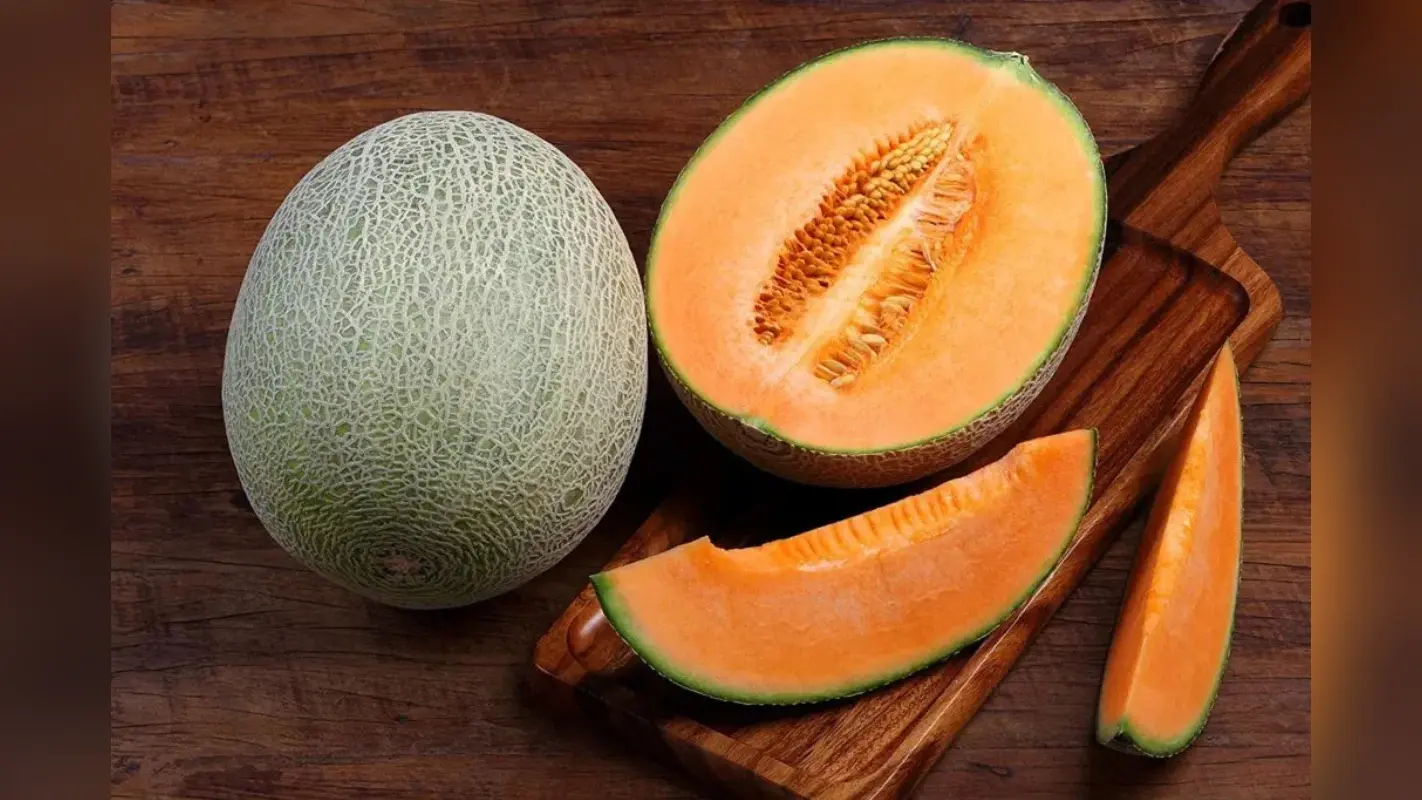 Muskmelon Benefits: खरबूजा सिर्फ प्यास बुझाने के लिए नहीं, बल्कि आपको देगा ये कई अनोखे फायदे