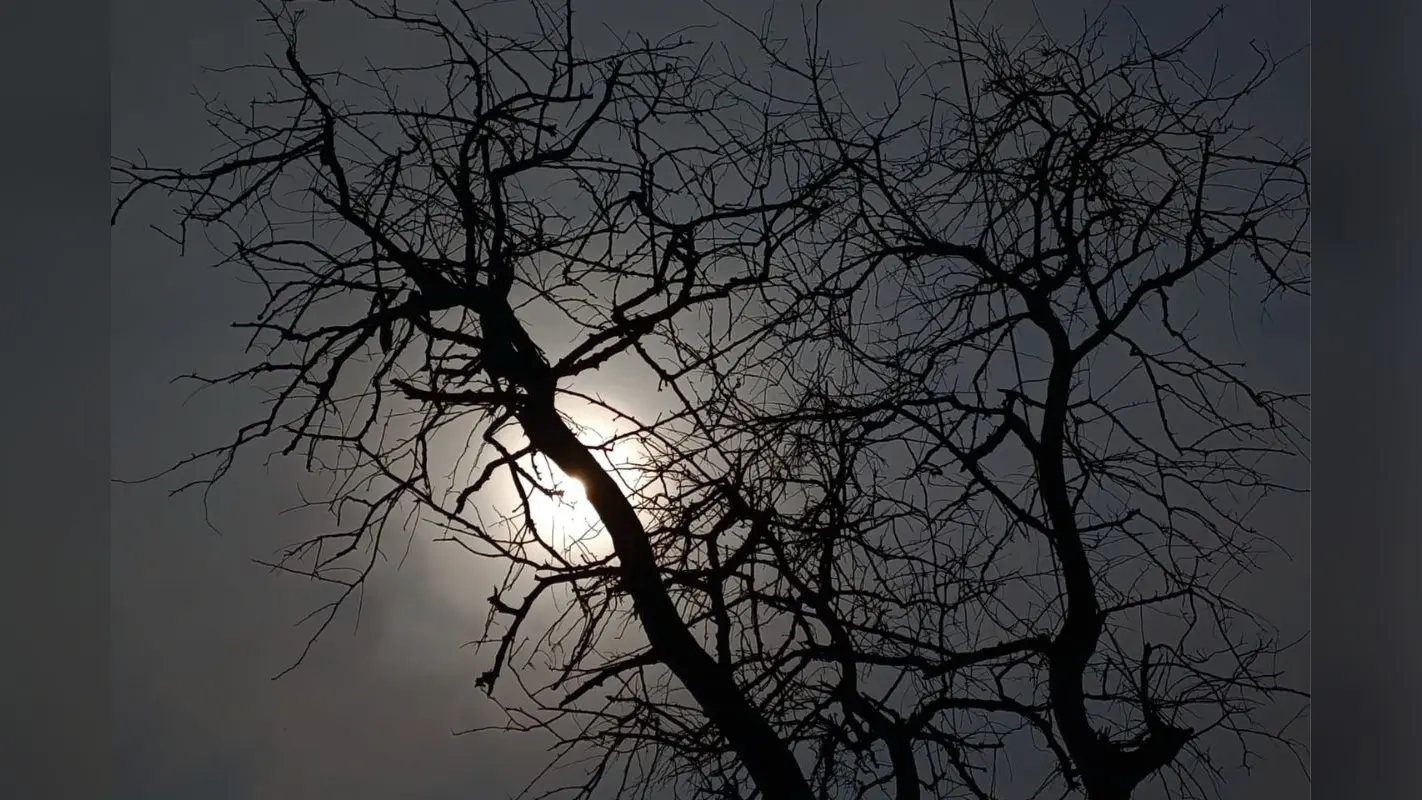 Muzaffarpur Weather: मुजफ्फरपुर में बदला मौसम का मिजाज, प्रचंड गर्मी से मिली राहत