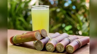 10 Unknown Facts About Sugarcane Juice: गन्ने का जूस क्यों नहीं किया जाता स्टोर और कितनी देर में हो जाता है खराब- गन्ने के रस से जुड़ी 10 अनजानी बातें