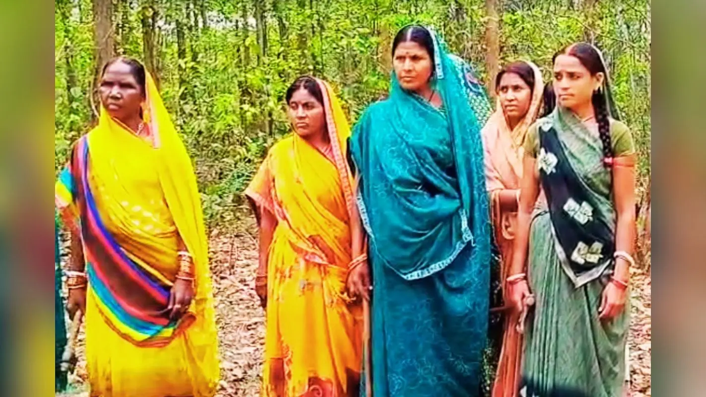 3 दशक से आधी आबादी की कुल्हाड़ी की सुरक्षा में 2200 एकड़ में फैला तुकतुको जंगल