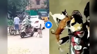 Video Viral: आजा…आजा… मेट्रो में महाभारत! कमीज खोलकर लड़ने के लिए ललकारने लगा युवक, वीडियो वायरल