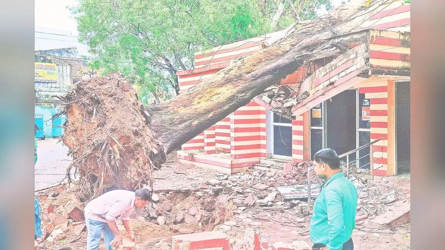 मौसम की मार : तेज हवा-बारिश संग ओलावृष्टि, कारों के शीशे, घर के एस्बेस्टस टूटे, शौचालय पर गिरा पेड़