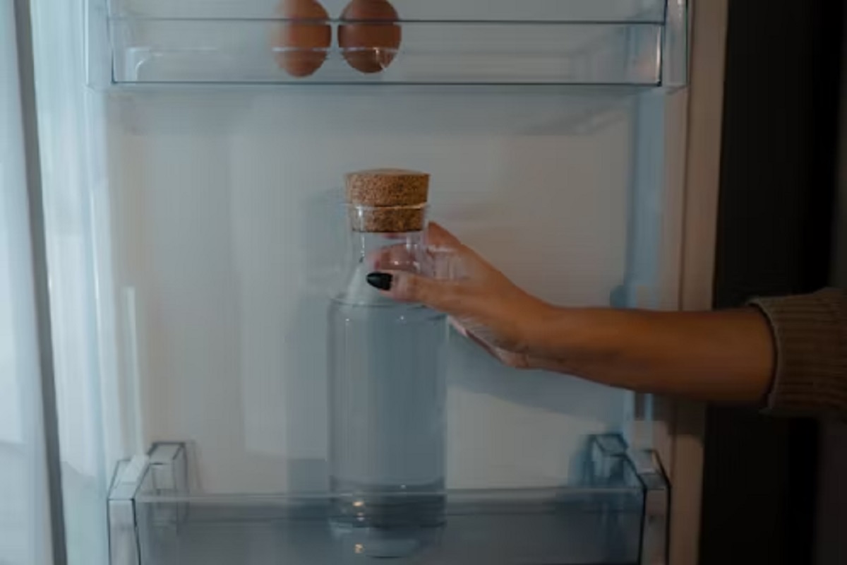Summer Hacks: प्लास्टिक, कांच या स्टील? जानिए कौन सी बोतल है फ्रिज के पानी के लिए सबसे बेहतर