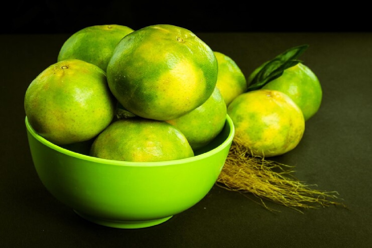 Tips For Lemon Storage: फ्रिज में नींबू की ताजगी बनाए रखने के लिए, जानिए ये असरदार तरीके