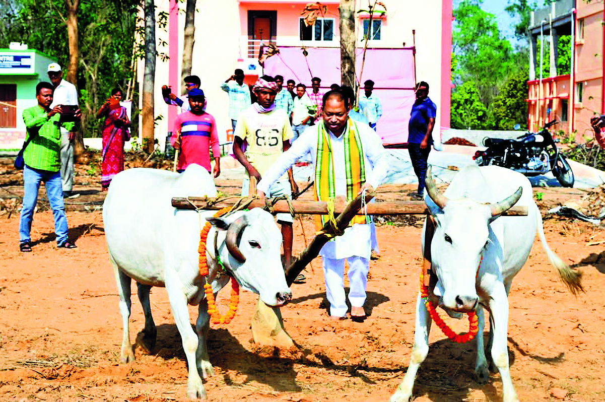 Sundargarh News: हमारे किसान आगे बढ़ेंगे, तो देश विकसित बनेगा : भवानी शंकर भोई