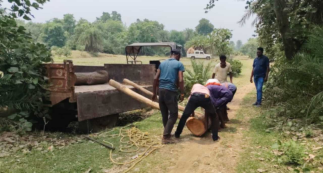 प्रभारी वनपाल ने सखुआ की लकड़ी व केंदु पत्ता किया जब्त