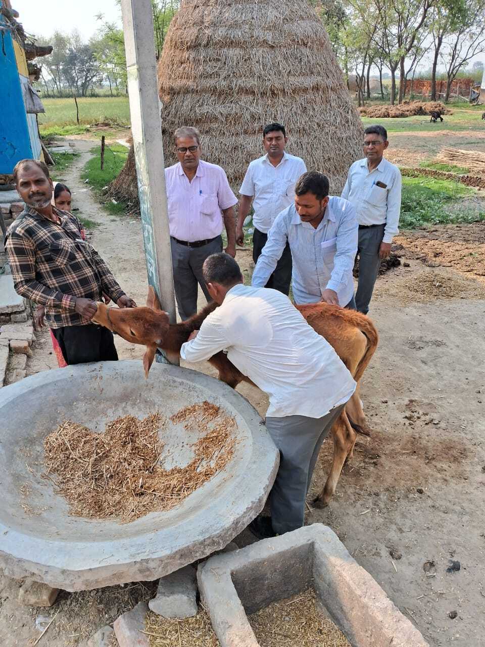 Aurangabad News: जिले में 655950 पशुओं को लगेगा खुरहा का टीका
