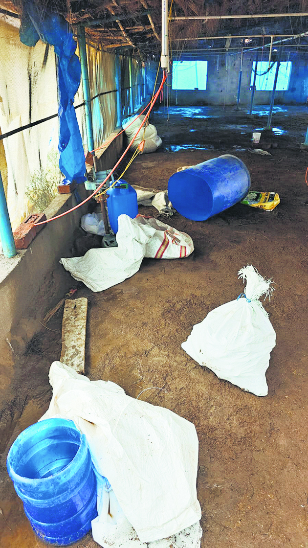 Aurangabad News : मुर्गी फार्म की आड़ में बन रही थी शराब, मड़रिया टांड़ पर पुलिस का छापा
