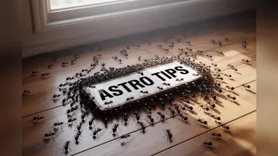 Astro Tips: शाम के वक्त भूलकर भी न करें ये 3 चीजों का दान, छिन सकता है धन और बढ़ सकती हैं मुश्किलें