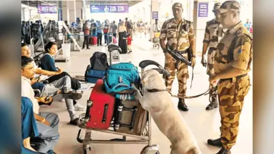भारत-पाक तनाव के बीच बिहार में हाई अलर्ट, शहर से लेकर गांव तक पूरे राज्य में फिर होगा ब्लैकआउट मॉक ड्रिल