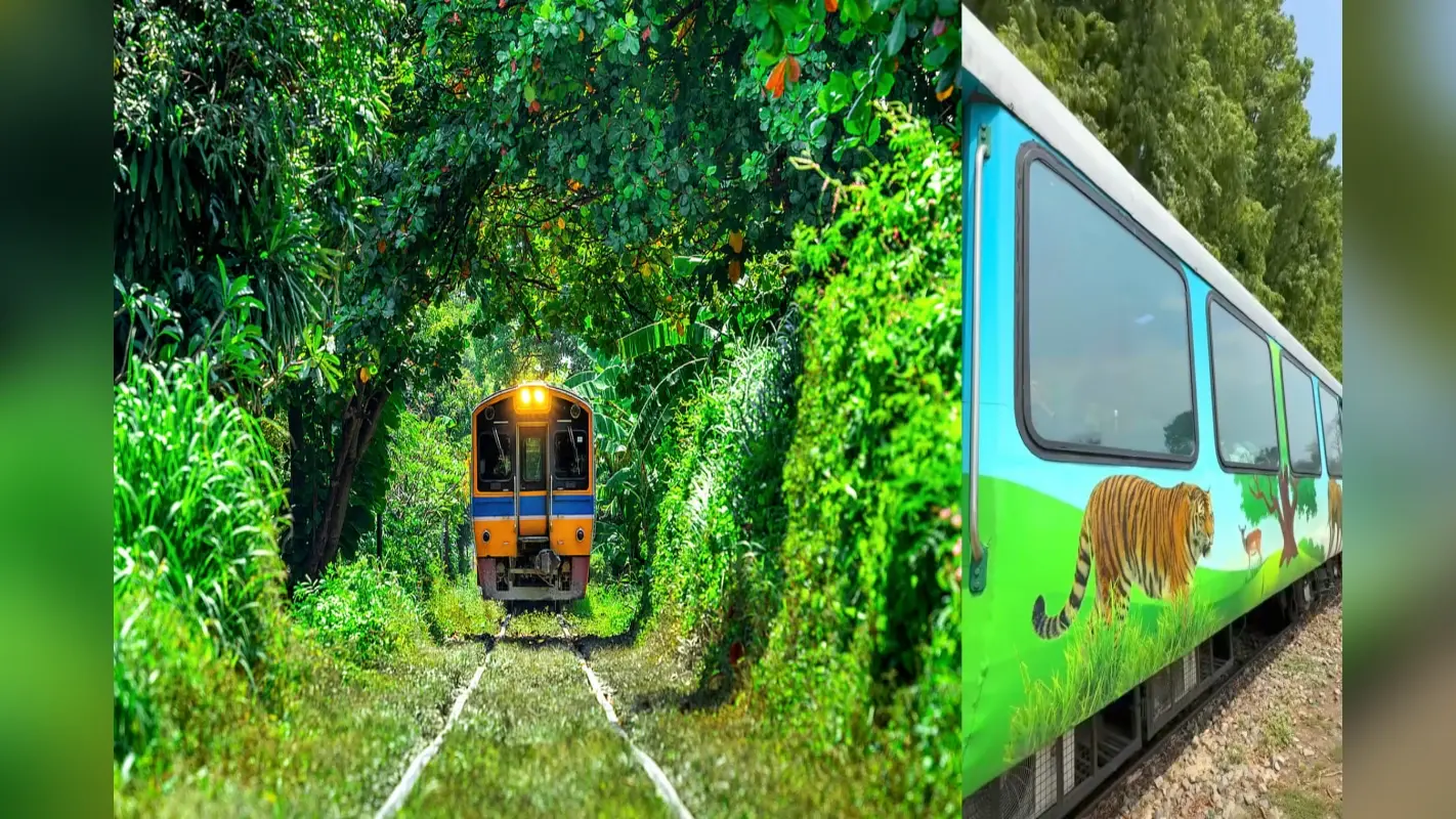 इस गर्मी बच्चों को दिलाएं असली जंगल बुक का एहसास सैर कीजिए यूपी की जंगल सफारी ट्रेन से!