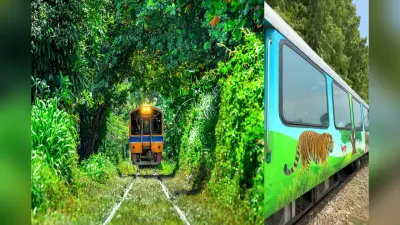 इस गर्मी बच्चों को दिलाएं असली जंगल बुक का एहसास सैर कीजिए यूपी की जंगल सफारी ट्रेन से!