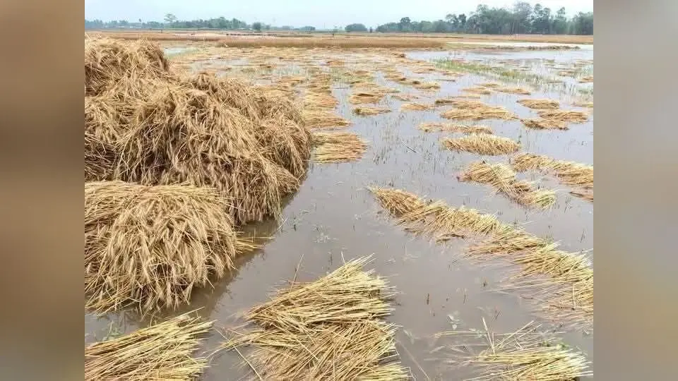 Samastipur News:5 मई को मेघ गर्जन के साथ कहीं-कहीं होगी हल्की वर्षा