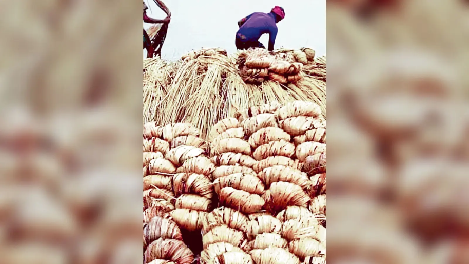 आदेश के बाद भी व्यापारी नहीं दे रहे स्टॉक की जानकारी