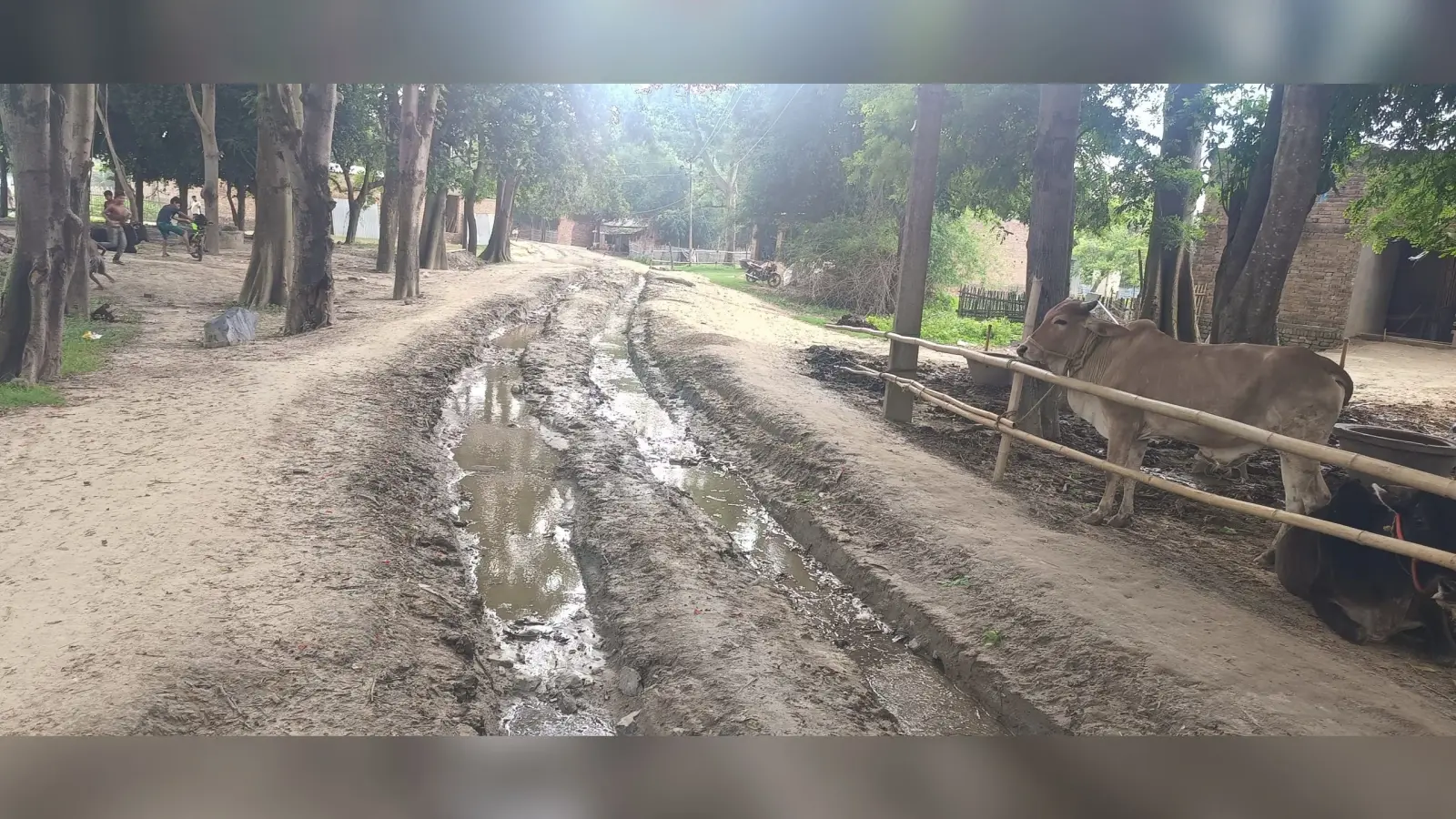 फेरीघाट जाने वाली सड़क का हाल बेहाल, लोग परेशान