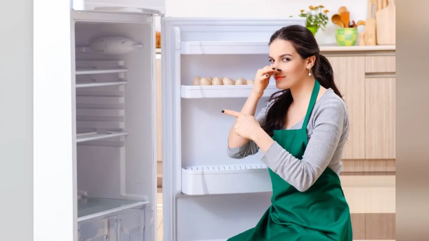 Fridge Smell Tips: फ्रिज की बदबू को चुटकियों में करें दूर! खाने को लंबे समय तक रखेगा ताजा