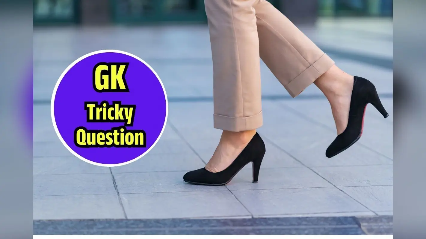General Knowledge: किस शहर में लड़कियां नहीं पहन सकती 2 इंच से ज्यादा हील्स? देखें GK के ट्रिकी सवाल-जवाब
