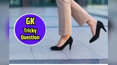 General Knowledge: फाइटर जेट और मिसाइल में क्या है अंतर, समझें स्पीड एंड अटैक का फॉर्मूला