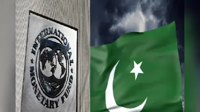 IMF Pakistan Aid: आईएमएफ ने पाकिस्तान को क्यों दिया पैसा? फाइनेंशियल एजेंसी ने दी ये दलील