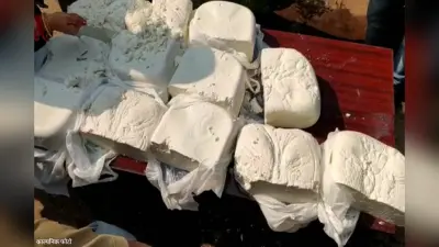 पनीर को चाव से खाने वाले हो जाएं सावधान,गोरखपुर पनीर बनाने वाले गोदाम में पड़ा छापा