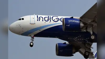 इंडिगो को डीजीसीए का अल्टीमेटम, टर्किश एयरलाइंस के साथ 3 महीने में खत्म करो डील