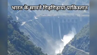 Indus Water Treaty: प्यास से हलक सूखा तो भारत के सामने गिड़गिड़ाया पाकिस्तान, सिंधु का जल छोड़ने की लगाई गुहार