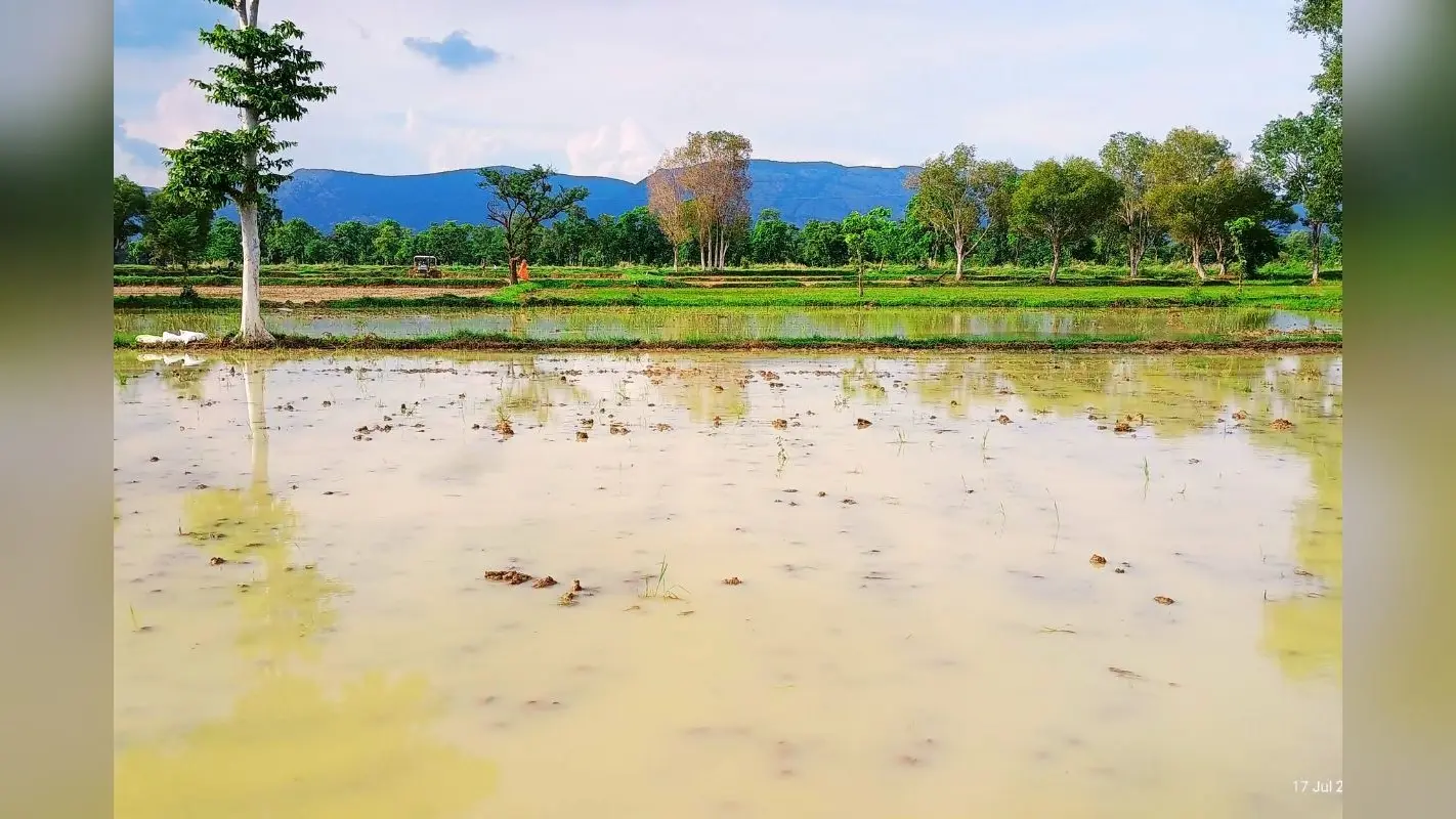 Jharkhand Weather Today: आंधी-तूफान के साथ झमाझम बारिश से झारखंड में मौसम हुआ सुहाना