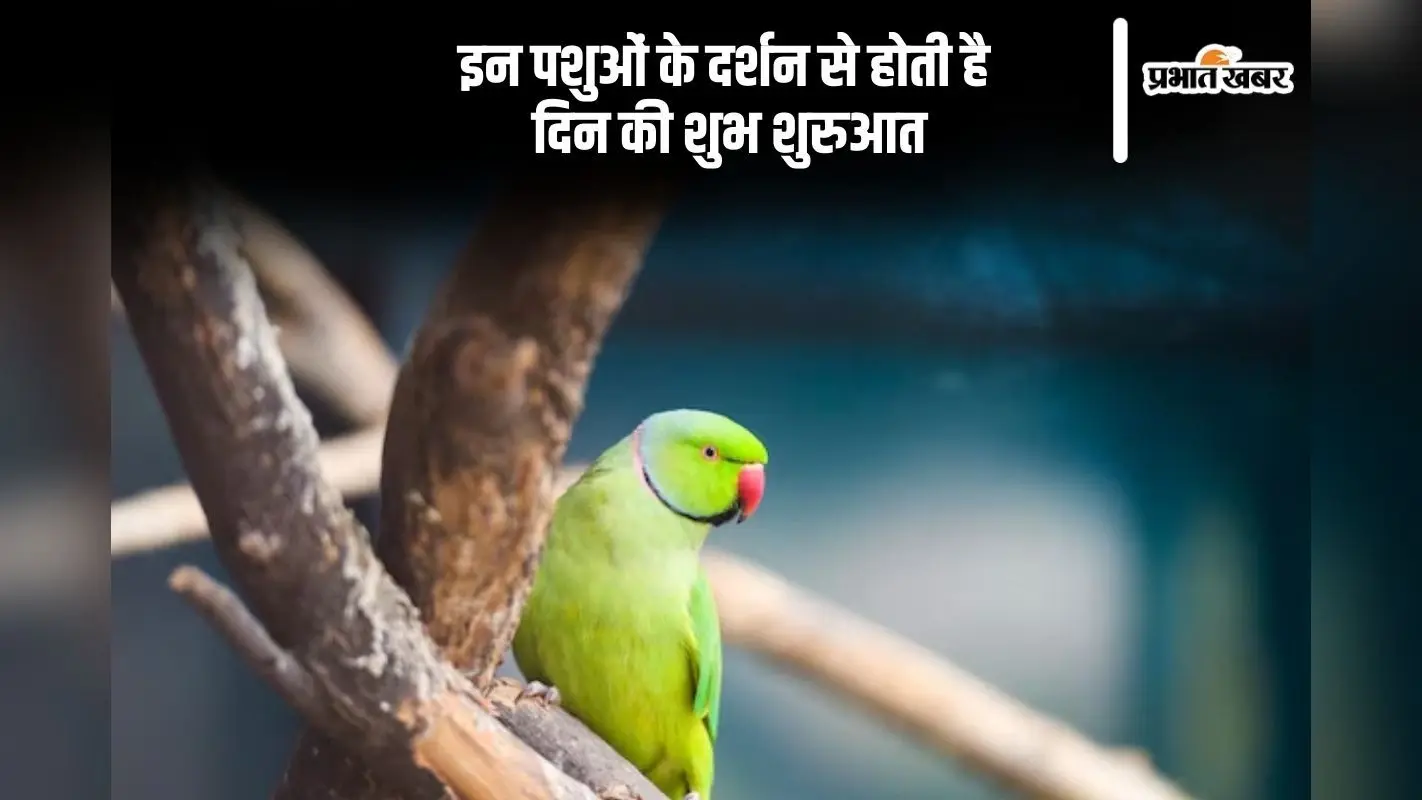 सुबह-सुबह दिख जाए ये जानवर, तो समझिए बन गया दिन
