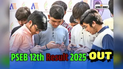 PSEB 12th Result 2025 OUT: पंजाब बोर्ड 12वीं का रिजल्ट जारी, 91% पास, pseb.ac.in पर सबसे पहले देखें