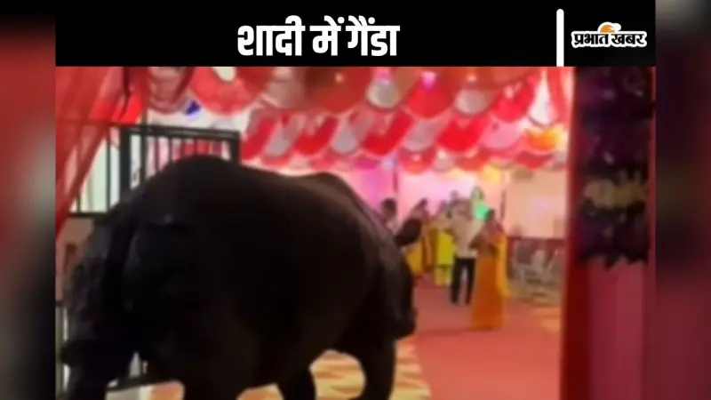 Viral Video : शादी में पहुंच गया गैंडा, देखें फिर क्या हुआ