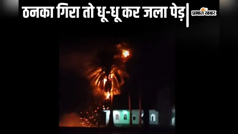 VIDEO: सहरसा में ठनका गिरा तो धू-धू कर जला ताड़ का पेड़, वीडियो देखकर रह जाएंगे दंग